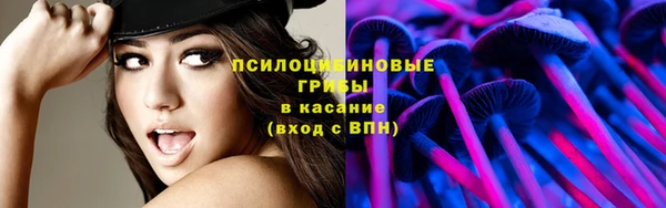 стаф Алексеевка