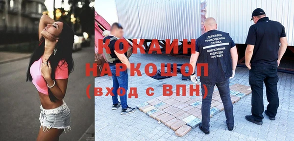 сатива Куйбышев