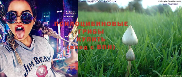 шишки Кулебаки