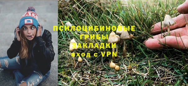 молекула духа Алзамай