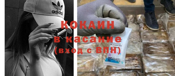 сатива Куйбышев