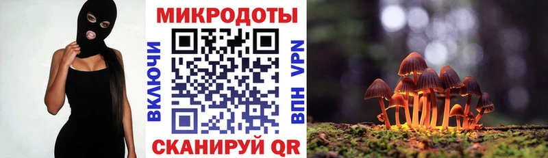 Псилоцибиновые грибы мицелий Нестеровская