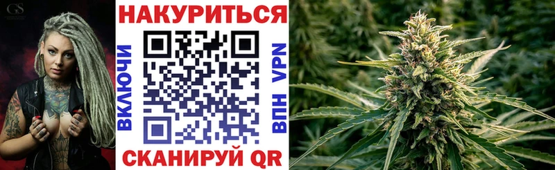 Канабис семена  Нестеровская 